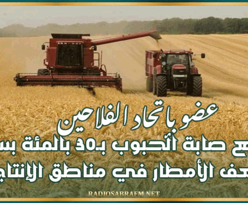 عضو بإتحاد الفلاحين: تراجع صابة الحبوب بـ30 بالمئة بسبب ضعف الأمطار في مناطق الإنتاج