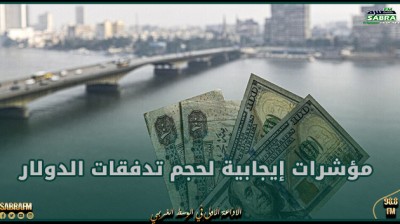 رئيس الوزراء المصري: مؤشرات إيجابية لحجم تدفقات الدولار وانخفاض الطلب عليه