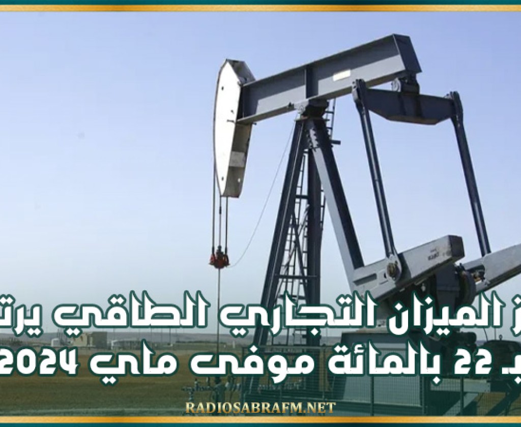 عجز الميزان التجاري الطاقي يرتفع بـ 22 بالمائة موفى ماي 2024 ليبلغ 4606 مليون دينارا