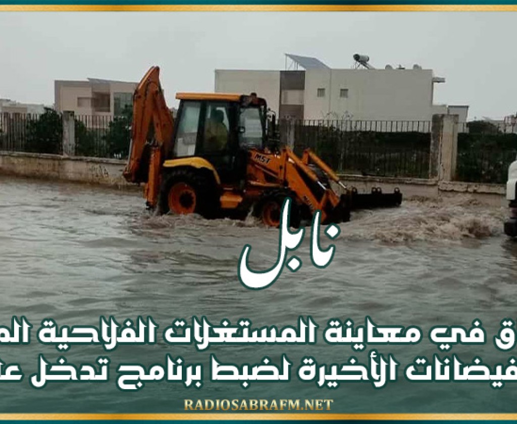 نابل: الانطلاق في معاينة المستغلات الفلاحية المتضررة من الفيضانات الأخيرة لضبط برنامج تدخل عاجل