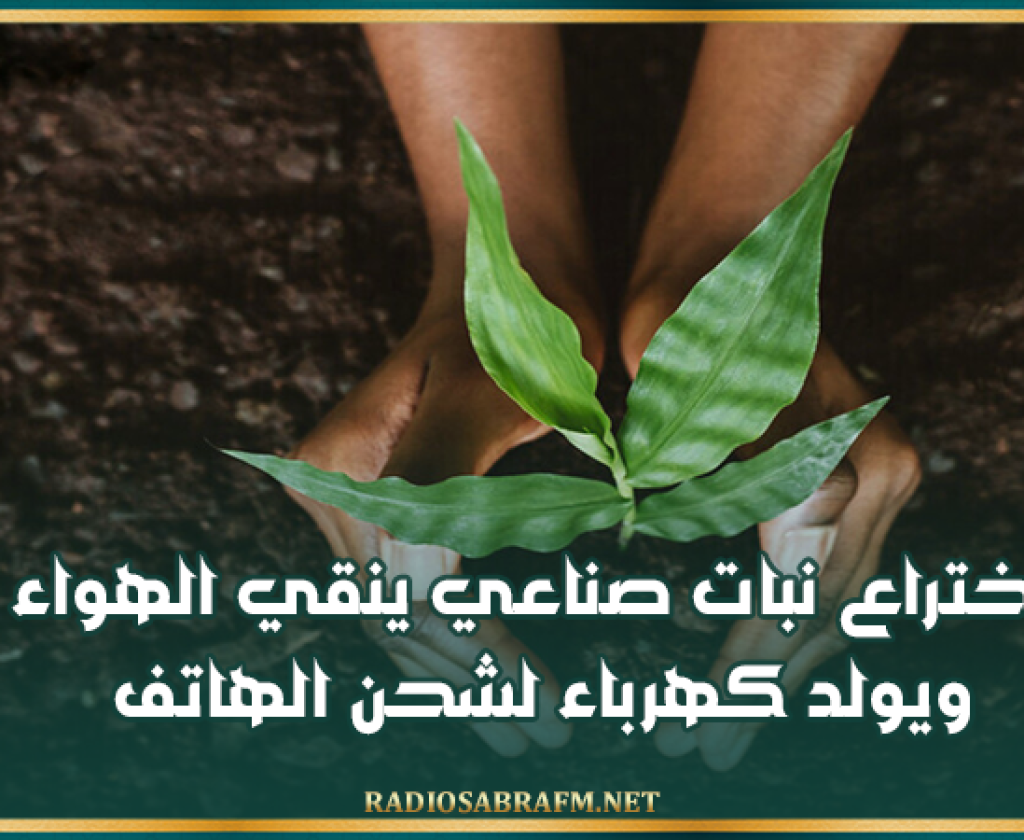 اختراع نبات صناعي ينقي الهواء ويولد كهرباء لشحن الهاتف