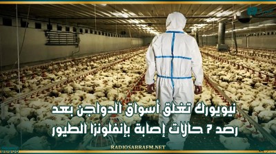 نيويورك تغلق أسواق الدواجن بعد رصد 7 حالات إصابة بإنفلونزا الطيور