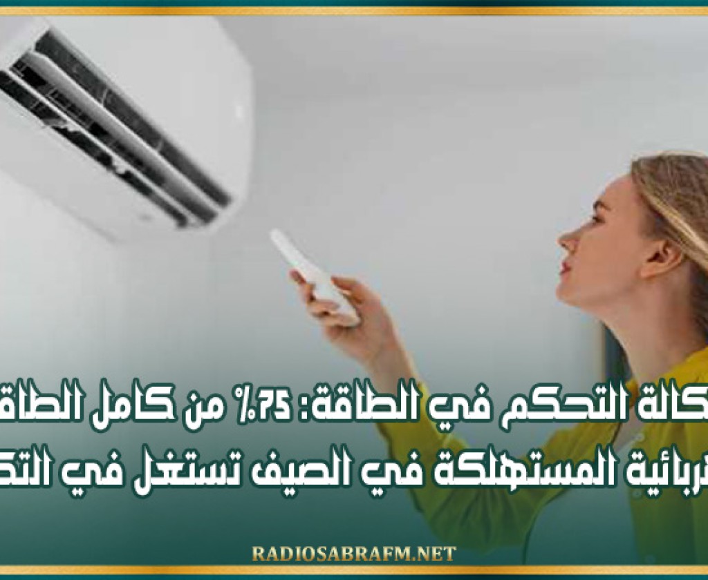 وكالة التحكم في الطاقة: 75% من كامل الطاقة الكهربائية المستهلكة في الصيف تستغل في التكييف