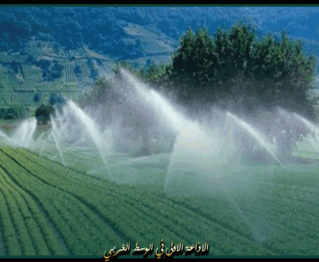 منوبة: مندوبية الفلاحة تدعو لعدم زراعة الخضراوات الصيفية بسبب نقص مياه الري