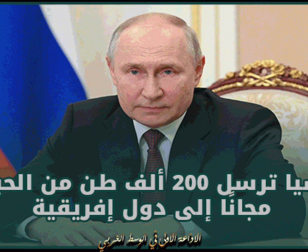 روسيا ترسل 200 ألف طن من الحبوب مجانًا إلى 6 دول إفريقية