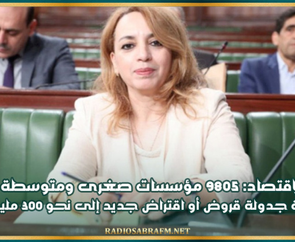 وزيرة الاقتصاد: 9805 مؤسسات صغرى ومتوسطة تحتاج بين إعادة جدولة قروض أو اقتراض جديد إلى نحو 300 مليون دولار
