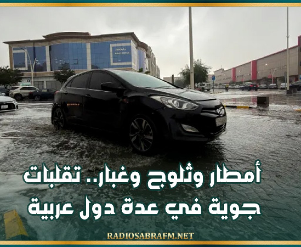 أمطار وثلوج وغبار.. تقلبات جوية في عدة دول عربية