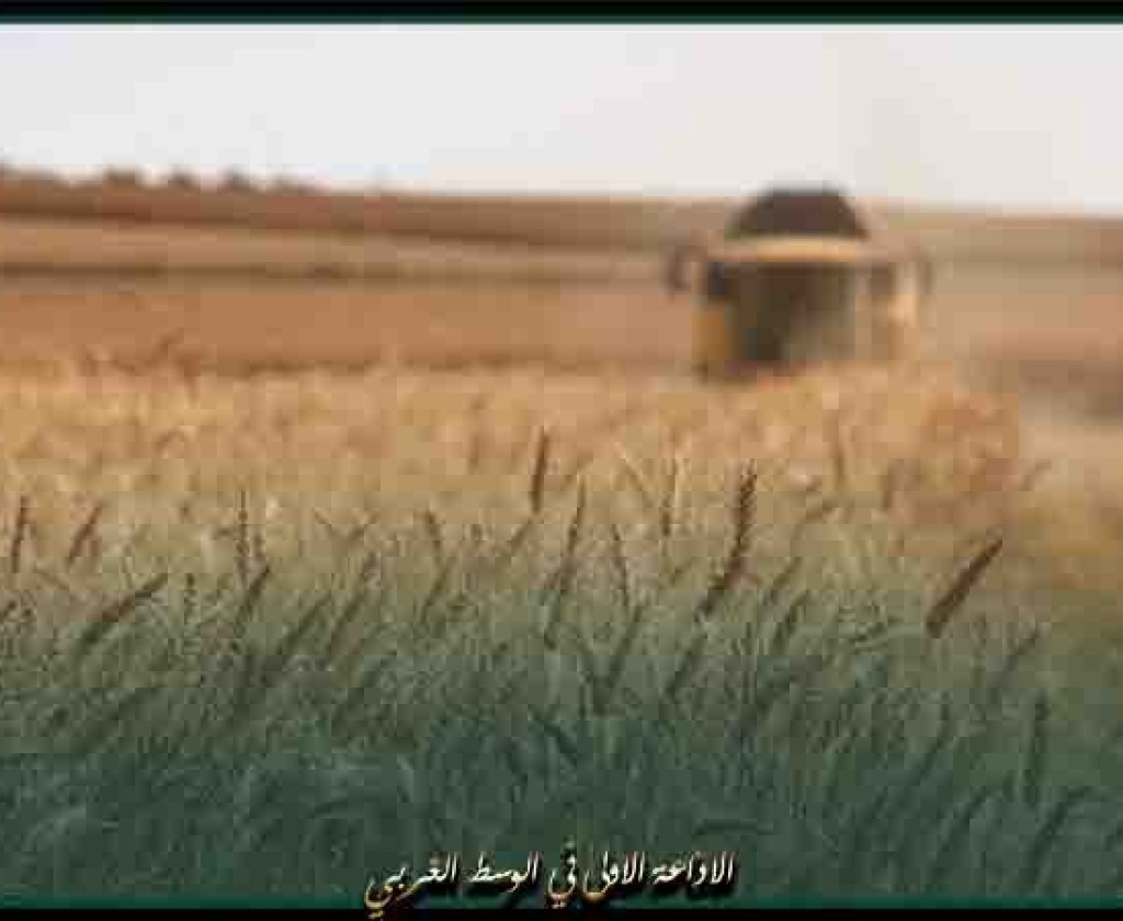 موسكو تؤكد مساعيها لتعزيز المبادرات لنقل الحبوب إلى البلدان المحتاجة