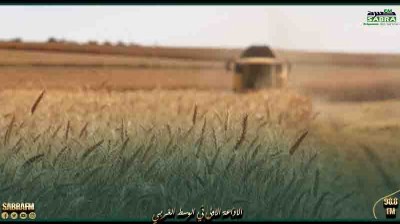 موسكو تؤكد مساعيها لتعزيز المبادرات لنقل الحبوب إلى البلدان المحتاجة