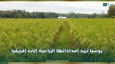 روسيا تزيد إمداداتها الزراعية إلى إفريقيا