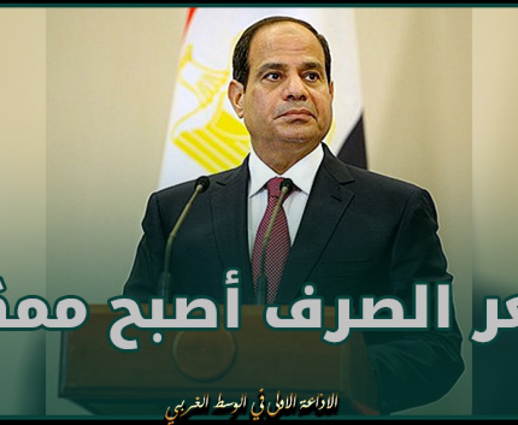 عبد الفتاح السيسي: سعر الصرف المرن أصبح ممكنا بعد التمويل الجديد