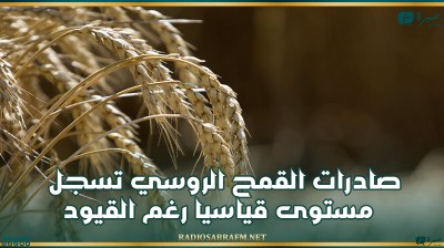 صادرات القمح الروسي تسجل مستوى قياسيا رغم القيود
