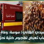 سيدي الهاني/ سوسة: وفاة شاب تعرض لهجوم خلية نحل