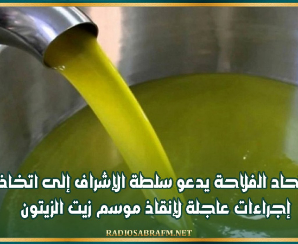 إتحاد الفلاحة يدعو سلطة الإشراف إلى اتخاذ إجراءات عاجلة لإنقاذ موسم زيت الزيتون
