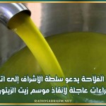 إتحاد الفلاحة يدعو سلطة الإشراف إلى اتخاذ إجراءات عاجلة لإنقاذ موسم زيت الزيتون