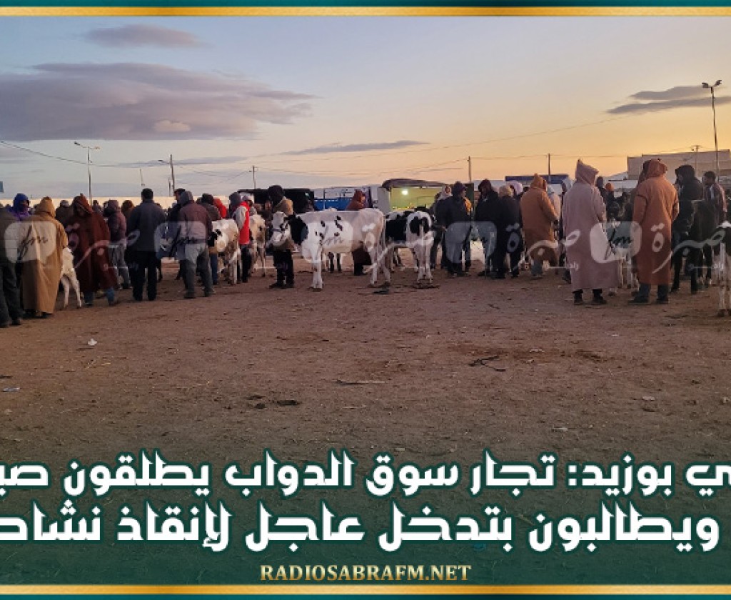سيدي بوزيد: تجار سوق الدواب يطلقون صيحة فزع ويطالبون بتدخل عاجل لإنقاذ نشاطهم
