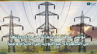 تونس غطت 14 بالمائة من حاجياتها من الكهرباء عبر التوريد من الجزائر وليبيا