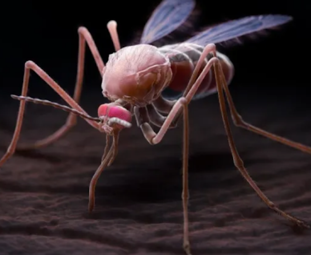 إثيوبيا تسجل أكثر من 328 ألف حالة جديدة ’’بالملاريا’’ منذ بداية السنة