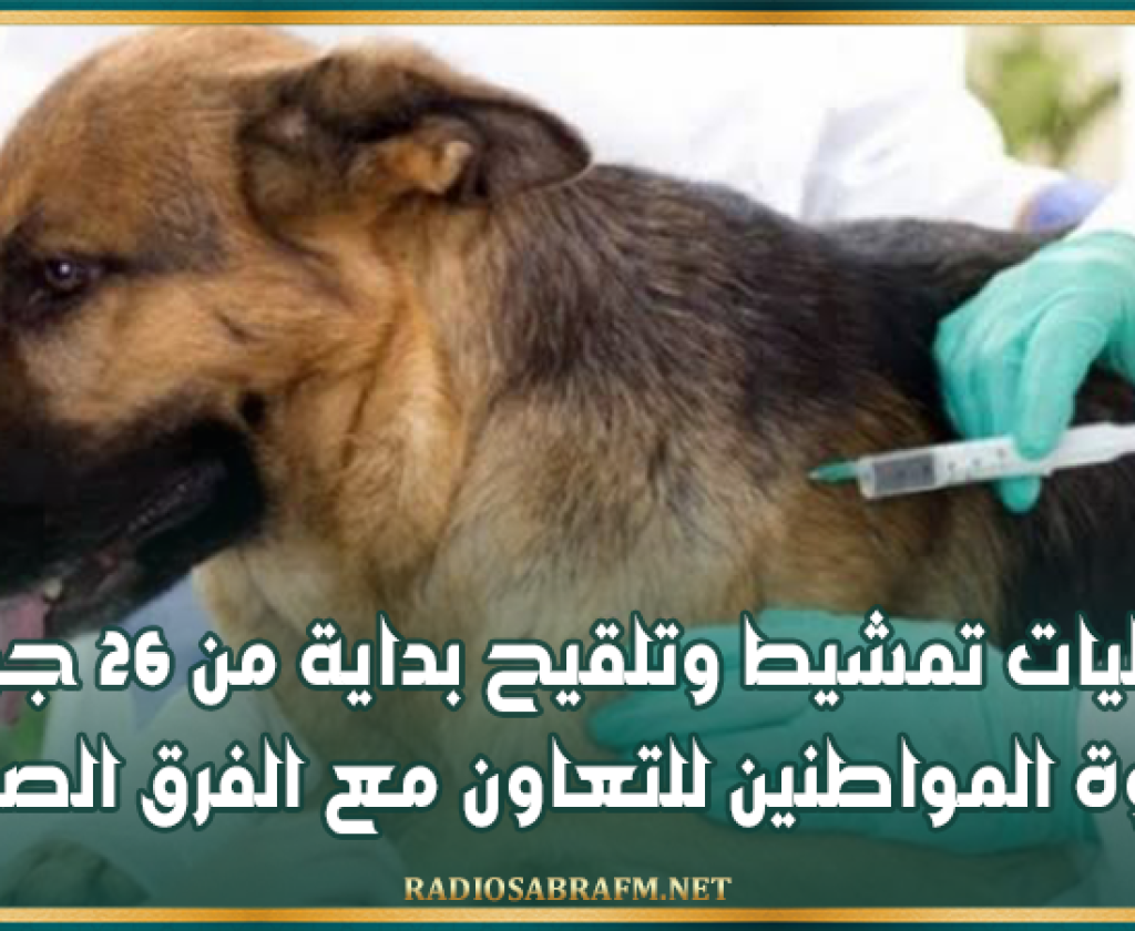 اكتشاف بؤرة لداء الكلب: عمليات تمشيط وتلقيح بداية من 26 جوان ودعوة المواطنين للتعاون مع الفرق الصحية