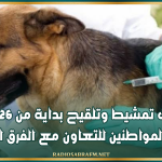 اكتشاف بؤرة لداء الكلب: عمليات تمشيط وتلقيح بداية من 26 جوان ودعوة المواطنين للتعاون مع الفرق الصحية