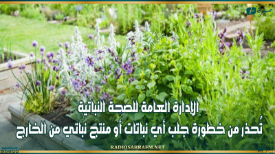 الإدارة العامة للصحة النباتية تُحذر من خطورة جلب أي نباتات أو منتج نباتي من الخارج