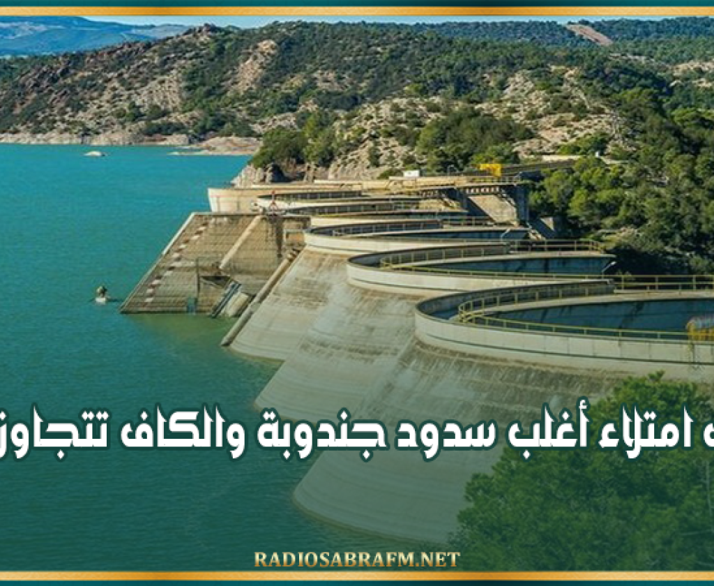 نسب امتلاء أغلب سدود جندوبة والكاف تتجاوز 100%