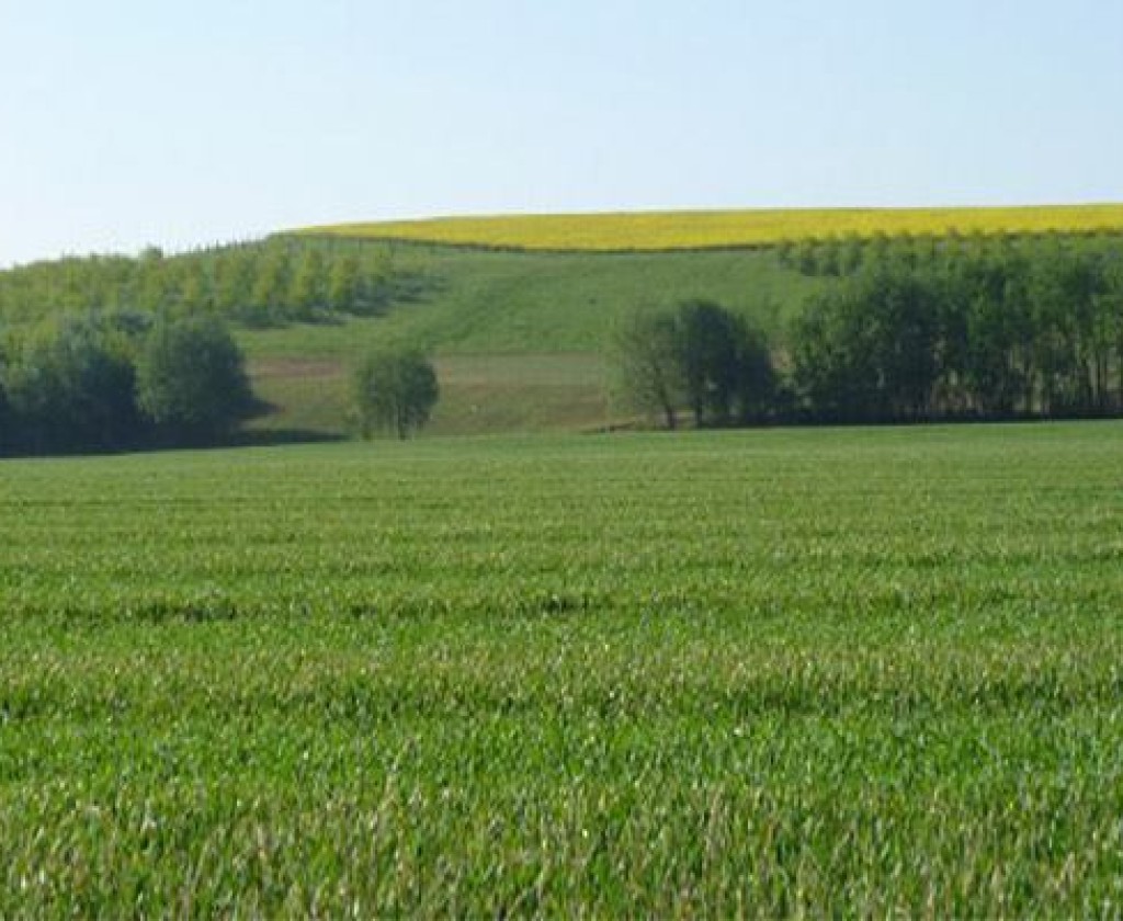 بنزرت: تخصيص 91 هكتارا من الأراضي الدولية المسترجعة للفلاحين الشبان والمهنيين وحاملي الشهادات العليا