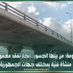 رئاسة الحكومة: من بينها الجسور...إنجاز تفقد معمق لحوالي 850 منشأة فنيّة بمختلف جهات الجمهورية