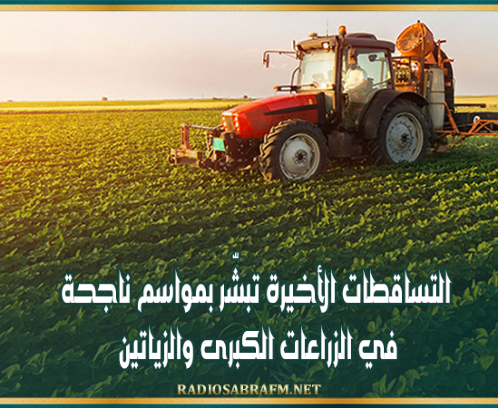 اتحاد الفلاحة ..التساقطات الأخيرة تبشّر بمواسم ناجحة في الزراعات الكبرى والزياتين