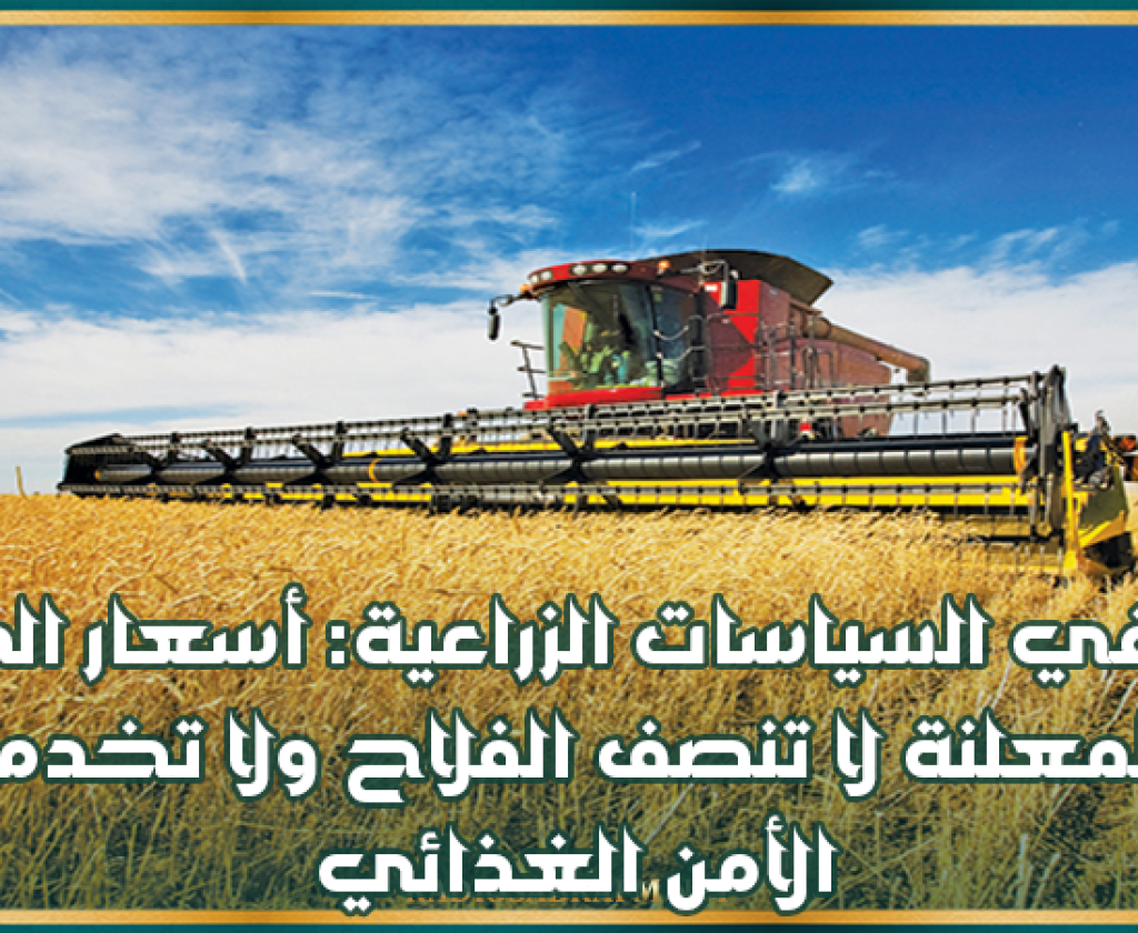 خبير في السياسات الزراعية: أسعار الحبوب المعلنة لا تنصف الفلاح ولا تخدم الأمن الغذائي