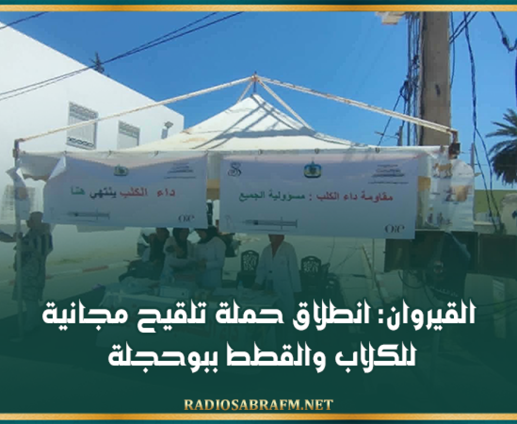 القيروان: انطلاق حملة تلقيح مجانية للكلاب والقطط ببوحجلة