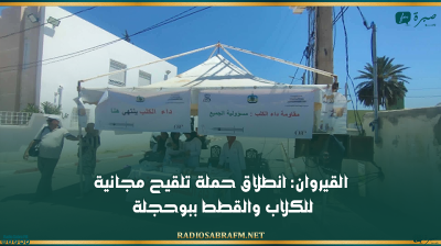 القيروان: انطلاق حملة تلقيح مجانية للكلاب والقطط ببوحجلة