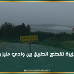 جندوبة: الأمطار الغزيرة تقطع الطريق بين وادي مليز والدخايلية