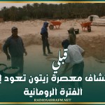 قبلي: اكتشاف معصرة زيتون تعود إلى الفترة الرومانية