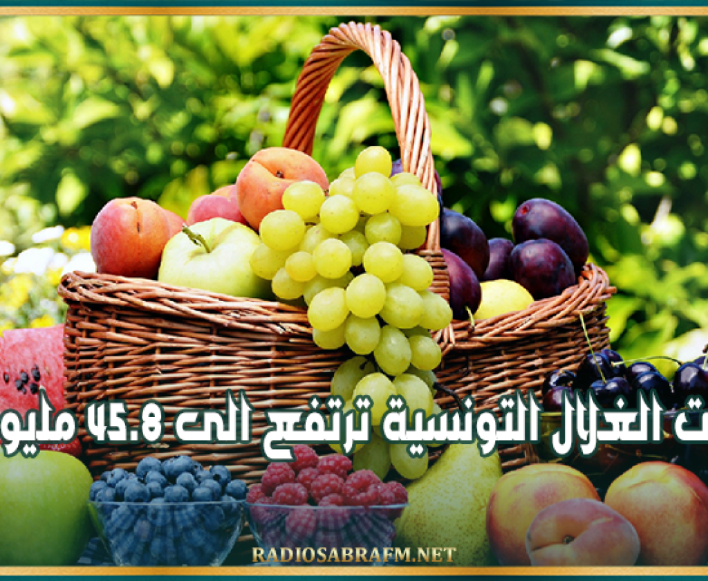 صادرات الغلال التونسية ترتفع الى 45.8 مليون دينار