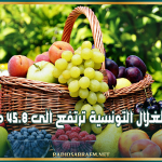 صادرات الغلال التونسية ترتفع الى 45.8 مليون دينار