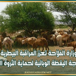وزارة الفلاحة تعزز المراقبة البيطرية وترفع درجة اليقظة الوبائية لحماية الثروة الحيوانية