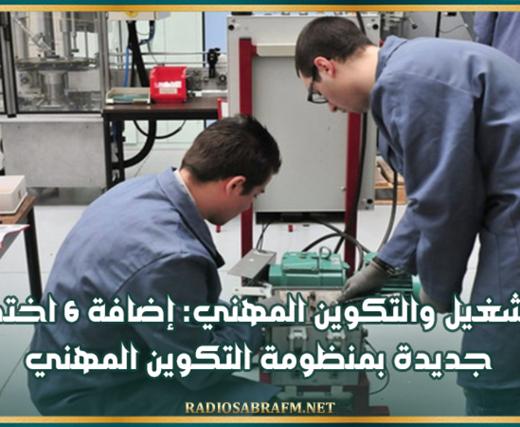 وزير التشغيل والتكوين المهني: إضافة 6 اختصاصات جديدة بمنظومة التكوين المهني