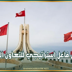 مسؤول أممي: تونس فاعل استراتيجي للتعاون الدولي