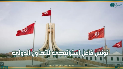 مسؤول أممي: تونس فاعل استراتيجي للتعاون الدولي