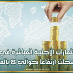 وزير الاقتصاد: الاستثمارات الأجنبية المباشرة في تونس سجلت ارتفاعا بحوالي 25 بالمائة