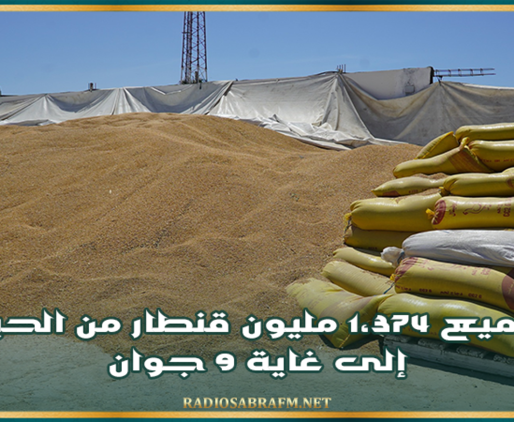 تجميع 1،374 مليون قنطار من الحبوب إلى غاية 9 جوان