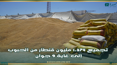 تجميع 1،374 مليون قنطار من الحبوب إلى غاية 9 جوان