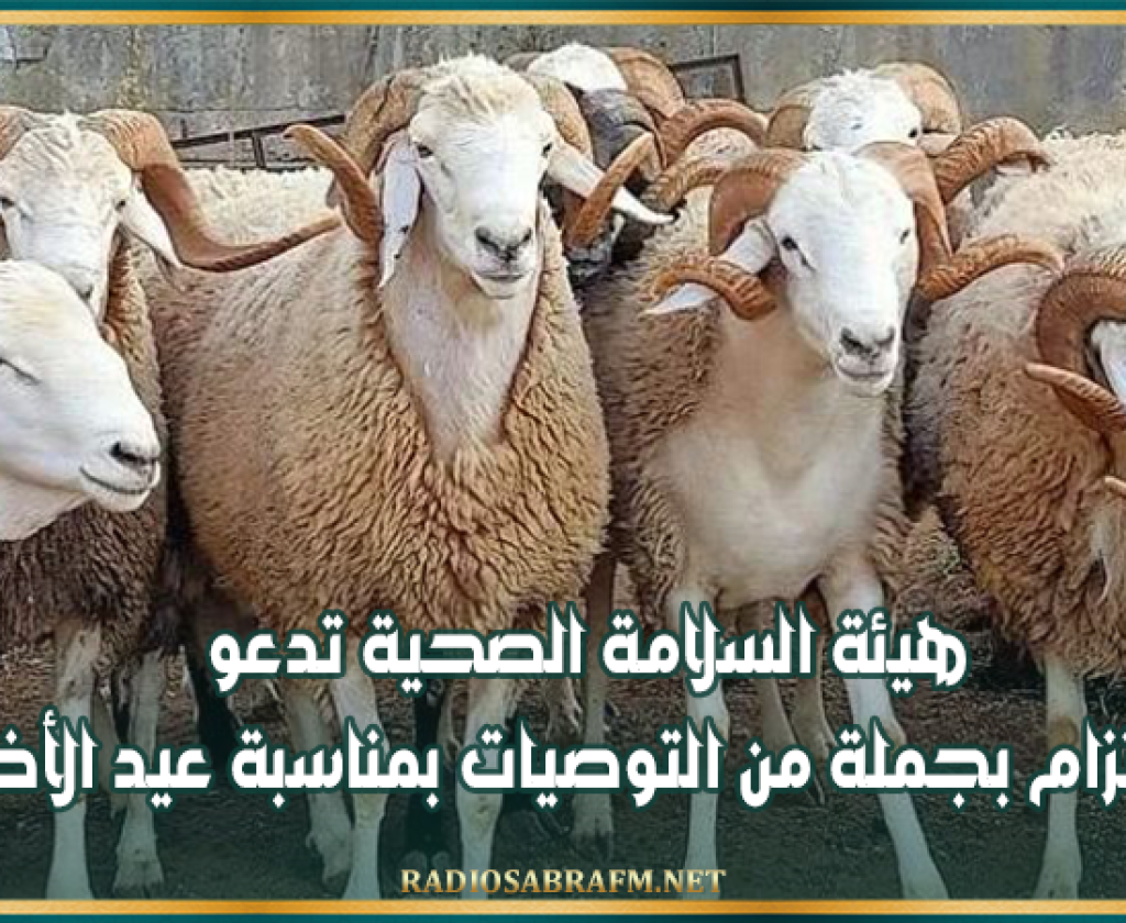 من بينها الحرص على حسن معاملة الأضحية..هيئة السلامة الصحية تدعو إلى الالتزام بجملة من التوصيات بمناسبة عيد الأضحى