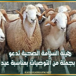 من بينها الحرص على حسن معاملة الأضحية..هيئة السلامة الصحية تدعو إلى الالتزام بجملة من التوصيات بمناسبة عيد الأضحى