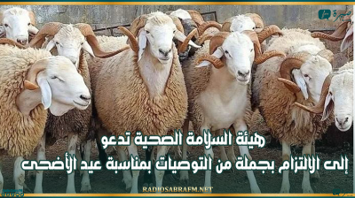 من بينها الحرص على حسن معاملة الأضحية..هيئة السلامة الصحية تدعو إلى الالتزام بجملة من التوصيات بمناسبة عيد الأضحى
