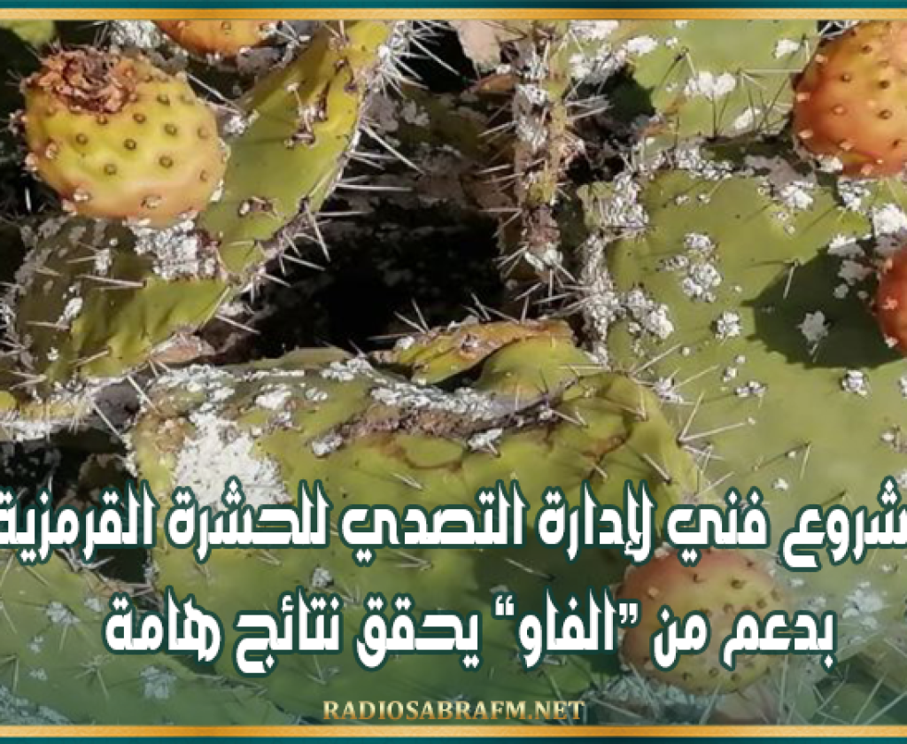 مشروع فني لإدارة التصدي للحشرة القرمزية بدعم من الفاو يحقق نتائج هامة