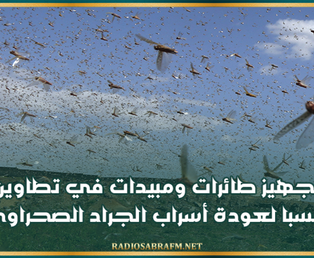 تطاوين: تجهيز طائرات ومبيدات تحسبا لعودة أسراب الجراد الصحراوي