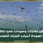 تطاوين: تجهيز طائرات ومبيدات تحسبا لعودة أسراب الجراد الصحراوي