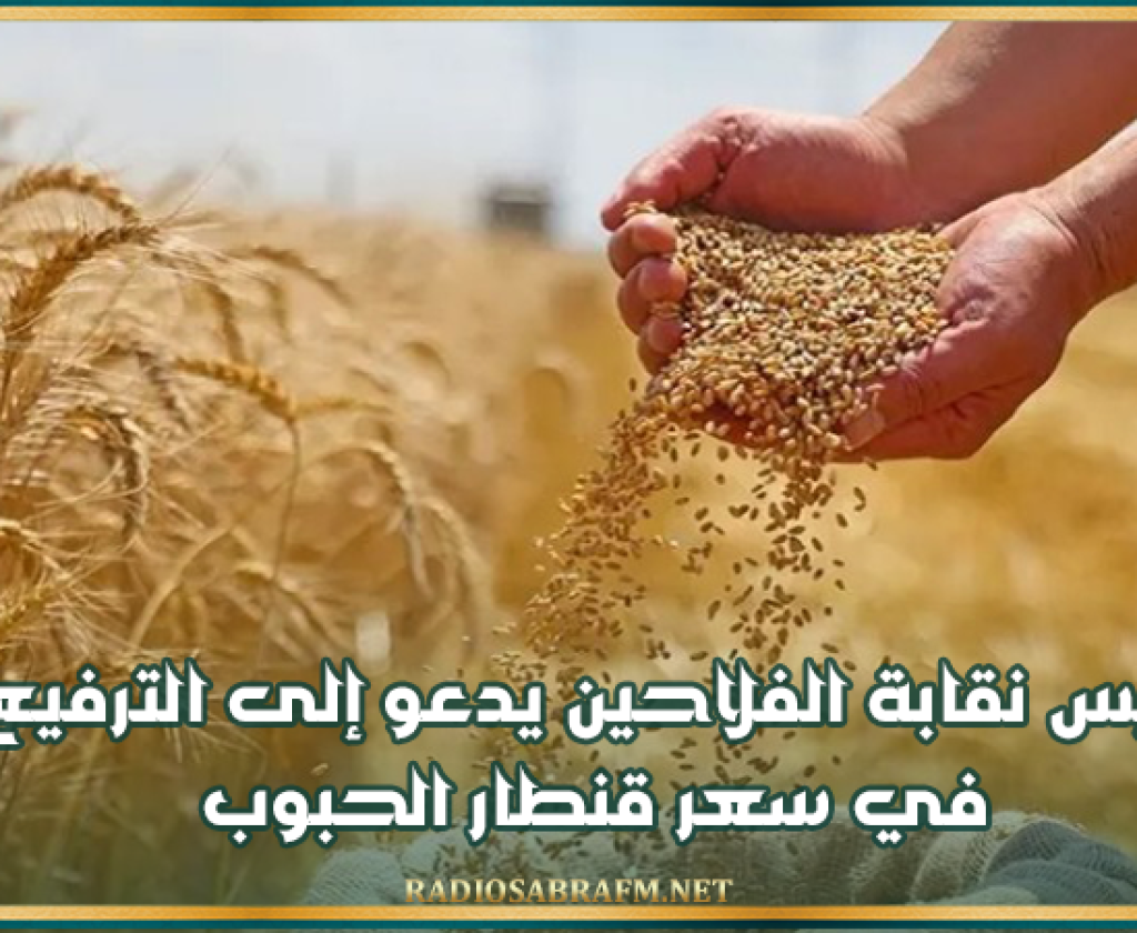 رئيس نقابة الفلاحين يدعو إلى الترفيع في سعر قنطار الحبوب